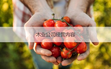 广西南宁丰林木业集团 南宁丰林木业招聘