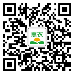 [猪肠 猪小肠价格10个