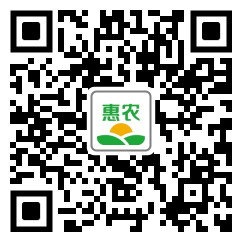 [香葱香葱 腊月葱价格0.3斤