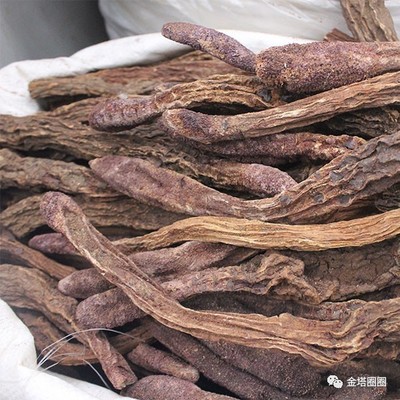 第八届金塔胡杨文化旅游节旅游商品纪念品展评活动方案出炉,拿走不谢!