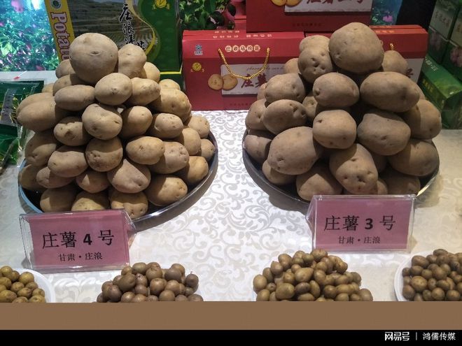 “平凉金果”亮相北京新发地，优质农特产品展示平凉特色