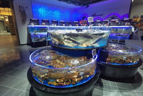 水产鲜区——各类鲜活海鲜水产品