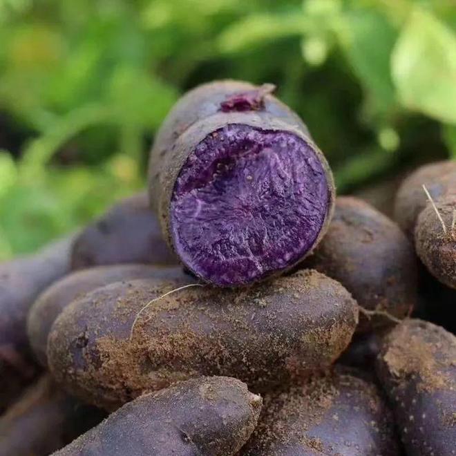 农副土特产品盛宴来袭 贵农物流园两家特产店盛大开业