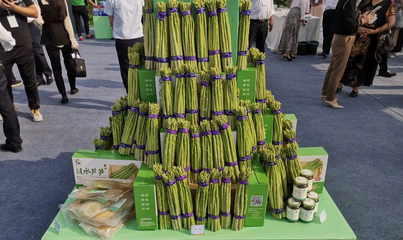 2021农民丰收节暨首届芦笋节盛大开幕，生鲜果蔬点亮幸福生活