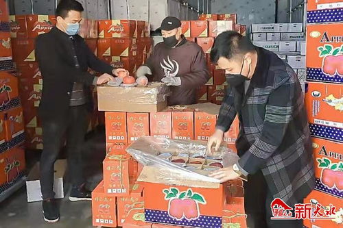 秦州区农业产业化龙头企业协会捐赠28吨 花牛苹果 运往武汉战 疫 一线