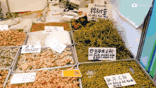 会展中心展销会明天开始 免费公交站点快记好 10元 20元 30元代金券免费送