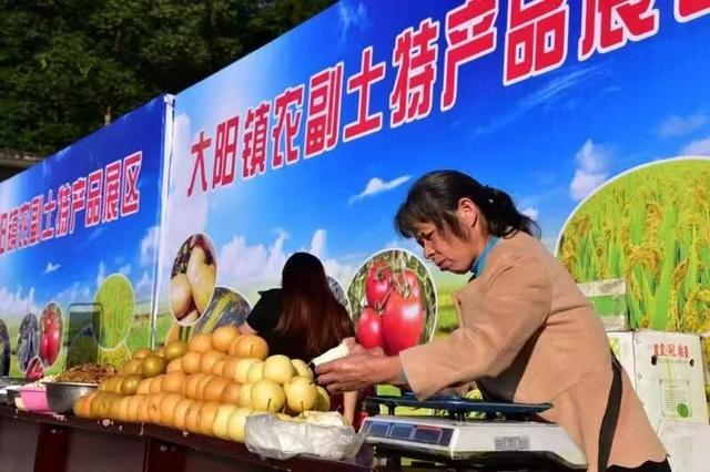 春种秋收 天道酬勤,云阳大地奏响“丰收节”赞歌