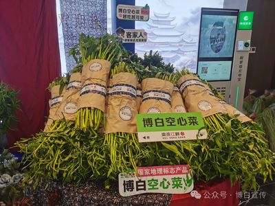 【学方略 谋创新 抓落实】南流江畔首届"博白空心菜"品鲜节在南宁市青秀区举行