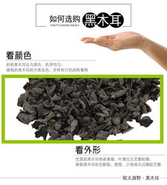 皖太源野 黑木耳无根小木耳特产小碗耳老鼠秋耳干货批发