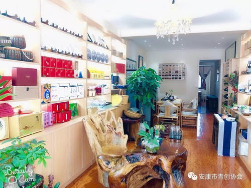 以协会为抓手 推动企业发展 青创走访侧记 石泉站